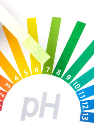 pH Down (UzGidroponika) 1L