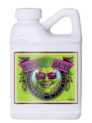 BIG BUD  (ADVANCED NUTRIENTS) 250 ml